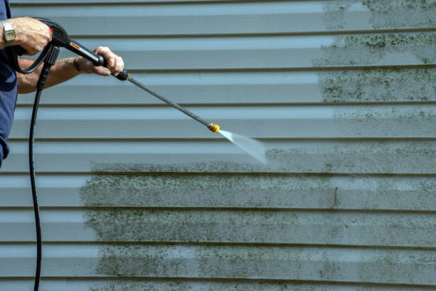 Best Dumpster Area Cleaning  in Mishawaka, IN